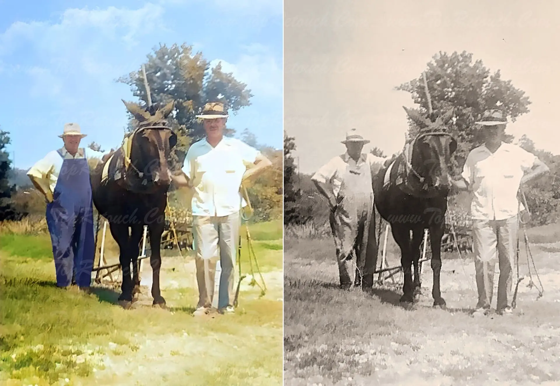 restoration and colorize photo